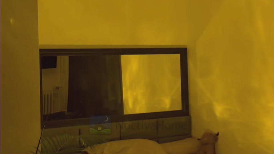 Video.mp4